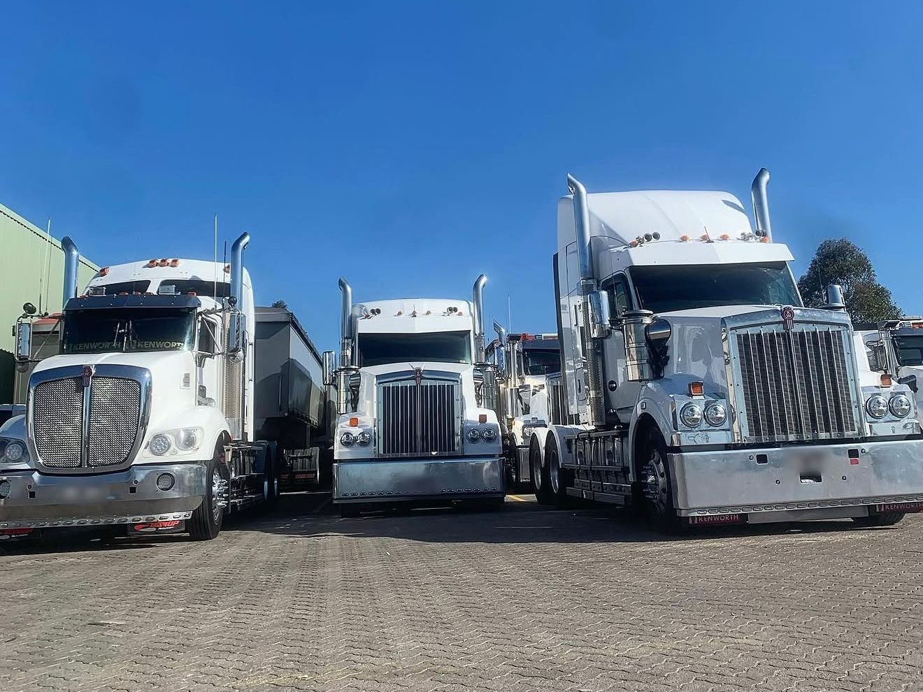 Three Kenworth prime movers lined up in a fleet yard